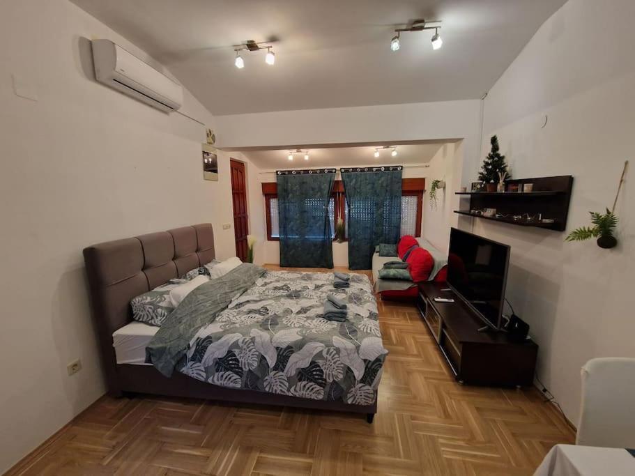 זאגרב Warm House Full Of Green Ambient,Joy And Comfort מראה חיצוני תמונה