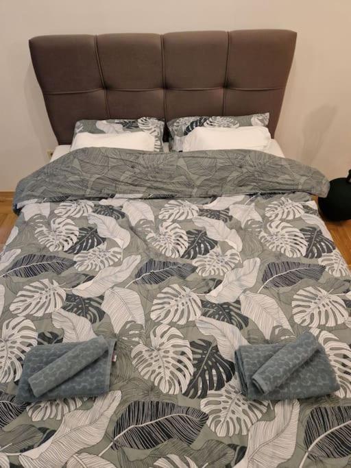 זאגרב Warm House Full Of Green Ambient,Joy And Comfort מראה חיצוני תמונה